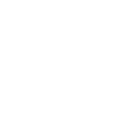 Favorich Chocolate